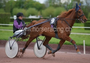 Kategorie: Avenches, 3. Mai 2013